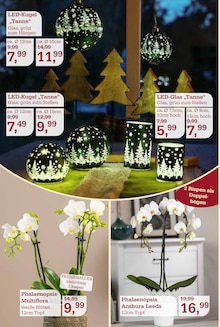 Gartenmöbel im Garten-Center Nordharz GmbH & Co. KG Prospekt "FRÖHLICHE ADVENTSZEIT" mit 16 Seiten (Salzgitter)