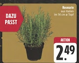 Rosmarin bei E center im Flachslanden Prospekt für 2,49 €