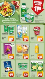 Ananas im REWE Prospekt in Nürnberg Aktueller REWE Prospekt mit Ananas, "Dein Markt", Seite 20