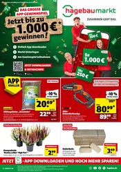 Aktueller Hagebaumarkt Baumärkte Prospekt in Kastl und Umgebung, "SO günstig geht das!" mit 22 Seiten, 27.09.2025 - 04.10.2025