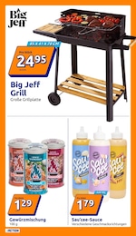 Grill Angebot im aktuellen Action Prospekt auf Seite 5