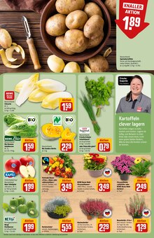 Pflanzen im aktuellen REWE Prospekt (Mönchengladbach) Pflanzen im REWE Prospekt "Dein Markt" mit 40 Seiten (Mönchengladbach)