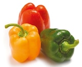 Paprika-Mix im Netto mit dem Scottie Prospekt Paprika-Mix im aktuellen Netto mit dem Scottie Prospekt für 2,19 €