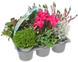 Angebot im Kaufland Wetter (Ruhr) Prospekt Kaufland Wetter (Ruhr) Prospekt mit im Angebot für 5,99 €