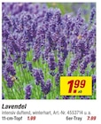 Angebot im toom Baumarkt Wackerow Prospekt toom Baumarkt Wackerow Prospekt mit im Angebot fĂŒr 1,99 âŹ