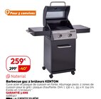 Barbecue gaz 2 brûleurs KENTON - Naterial - Weldom à Tarbes Barbecue gaz 2 brûleurs KENTON - Naterial en promo chez Weldom Tarbes à 259,00 €