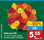 Aktuelles Edelrosen XXL Angebot bei Netto Marken-Discount in Mönchengladbach ab 5,55 €