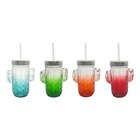 Verre + paille cactus - CARREFOUR HOME en promo chez Carrefour Fontenay-sous-Bois à 1,99 €