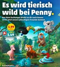 Tukan Angebote bei Penny Heidelberg