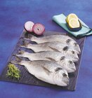 Daurade royale d’aquaculture en promo chez Super U Mulhouse à 3,20 €