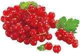 REWE Herzogenaurach - Rote Johannisbeeren Angebot im Prospekt Rote Johannisbeeren bei REWE im Herzogenaurach Prospekt für 2,99 €