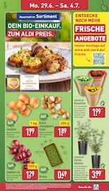 Aktueller ALDI Nord Prospekt mit Blumen, "Aktuelle Angebote", Seite 3