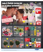 Aktueller EDEKA Prospekt mit Blumen, "Wir lieben Lebensmittel.", Seite 10