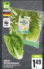 Aktuelle Salat Angebote bei EDEKA in Leipzig Aktuelles WWF Mini-Romanasalat Angebot bei EDEKA in Leipzig ab 1,49 €