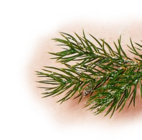 Aktuelle Essig Angebote bei Penny in Nürnberg Aktuelles Crema di Condimento Bianco Angebot bei Penny in Nürnberg ab 1,99 €