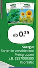 Saatgut von Florissa im aktuellen ROLLER Prospekt für 0,39 €