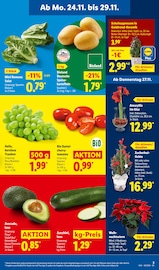 Ähnliche Angebote wie Rhododendron im Prospekt "LIDL LOHNT SICH" auf Seite 3 von Lidl in Oberhausen