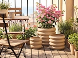 Aktuelles Blumentopf 3er Set Angebot bei Sconto SB in Kiel ab 14,99 €