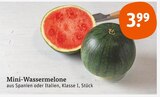 Mini-Wassermelone im aktuellen tegut Prospekt für 3,99 €