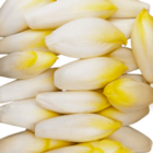 Endives en promo chez Norma Endives dans le catalogue Norma