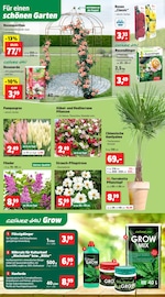 Flüssigdünger Angebote im Prospekt "Top Angebote" von Thomas Philipps Flüssigdünger Angebote im Prospekt "Top Angebote" von Thomas Philipps auf Seite 2
