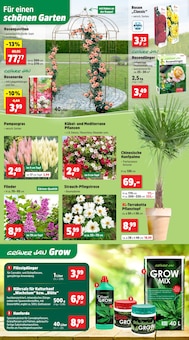 Blumen im Thomas Philipps Prospekt "Top Angebote" mit 15 Seiten (Jena)