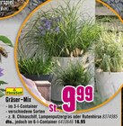 Gräser-Mix im Angebot bei Hornbach in Duisburg Gräser-Mix Angebote von FloraSelf bei Hornbach Duisburg für 9,99 €