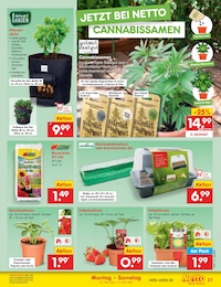 Saatgut Angebot im aktuellen Netto Marken-Discount Prospekt auf Seite 31