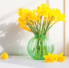 20 jonquilles carlton dans le catalogue Hyper U