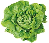 Kopfsalat Angebote von REWE Regional bei REWE Münster für 0,99 €