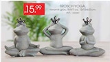 FROSCH YOGA Angebote bei Zurbrüggen Oldenburg für 15,99 €