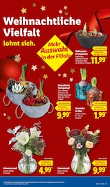 Garten im Lidl Prospekt in Lüdenscheid Aktueller Lidl Prospekt mit Garten, "LIDL LOHNT SICH", Seite 13