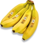 Bananen Angebote von Netto bei Netto Marken-Discount Kiel für 1,00 €