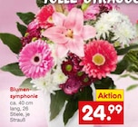 Blumensymphonie bei Netto Marken-Discount im Prospekt "" für 24,99 €