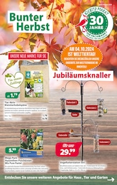 Kiebitzmarkt Prospekt: "Bunter Herbst", 12 Seiten, 02.10.2024 - 12.10.2024