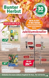 Aktueller Kiebitzmarkt Garten & Pflanzen Prospekt in Buchholz und Umgebung, "Bunter Herbst" mit 12 Seiten, 02.10.2024 - 12.10.2024