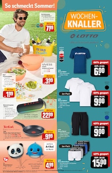 Herren Unterhose Angebot im aktuellen REWE Prospekt auf Seite 31
