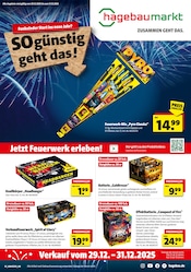 Aktueller Hagebaumarkt Baumärkte Prospekt in Regenstauf und Umgebung, "So günstig geht das!" mit 4 Seiten, 29.12.2025 - 31.12.2025
