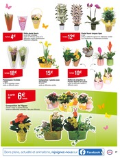 Plantes Angebote im Prospekt "Des PROMOS plein les OEUFS" von Cora auf Seite 27