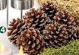 Aktuelle Weihnachtsdeko Angebote bei Wreesmann in Dresden Aktuelles DEKOTANNEN-ZAPFEN Angebot bei Wreesmann in Dresden ab 4,49 €
