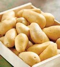 Pomme de terre de consommation - Mon Marché Plaisir - Intermarché à Yerres Pomme de terre de consommation - Mon Marché Plaisir en promo chez Intermarché Yerres à 1,99 €