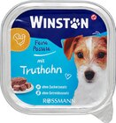 Hund Feine Pastete von Winston im aktuellen Rossmann Prospekt für 0,69 €