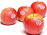 Apfel von Pink Lady im aktuellen Netto mit dem Scottie Prospekt