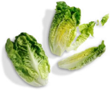 Span. Mini-Romanasalat bei Kaufland im Prospekt "" für 0,79 €