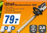 Heckenschere U20 bei expert im Schwandorf Prospekt für 79,00 €