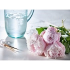 Bouquet de 3 pivoines - CARREFOUR en promo chez Carrefour Sarcelles à 3,29 €