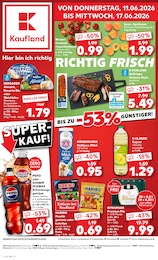 Aktueller Kaufland Prospekt (Villingen-Schwenningen) Kaufland Prospekt mit 50 Seiten (Villingen-Schwenningen)