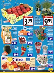 Aktueller EDEKA Prospekt mit Pflanzen, "Aktuelle Angebote", Seite 5
