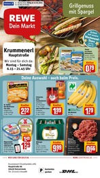REWE Prospekt "Dein Markt" für Holzwickede, 25 Seiten, 15.04.2024 - 20.04.2024