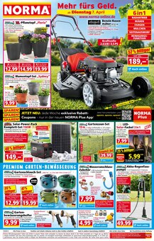 Matratze im Norma Prospekt "Mehr fürs Geld" mit 19 Seiten (Hannover)